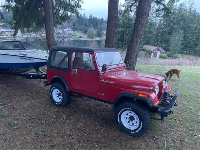 1986 Jeep CJ7 (CC-2111606) for sale in Cadillac, Michigan