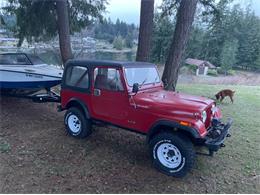 1986 Jeep CJ7 (CC-2111606) for sale in Cadillac, Michigan