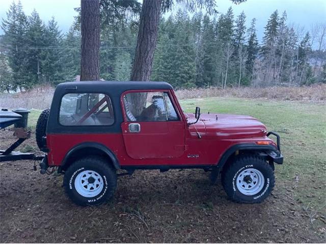 1986 Jeep CJ7 (CC-2111606) for sale in Cadillac, Michigan