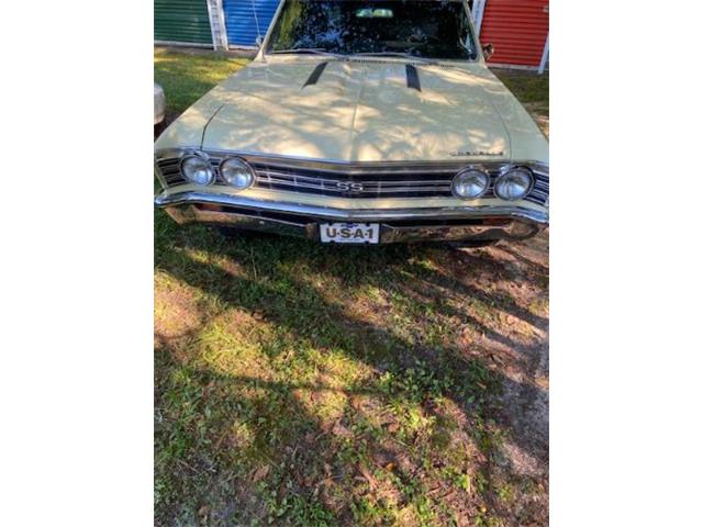 1967 Chevrolet Chevelle (CC-2111609) for sale in Cadillac, Michigan