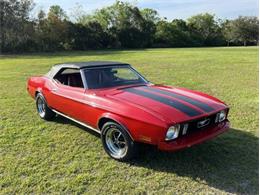 1973 Ford Mustang (CC-2111612) for sale in Cadillac, Michigan