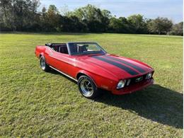 1973 Ford Mustang (CC-2111612) for sale in Cadillac, Michigan