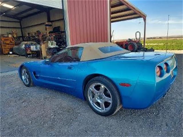 1999 Chevrolet Corvette (CC-2110163) for sale in Cadillac, Michigan