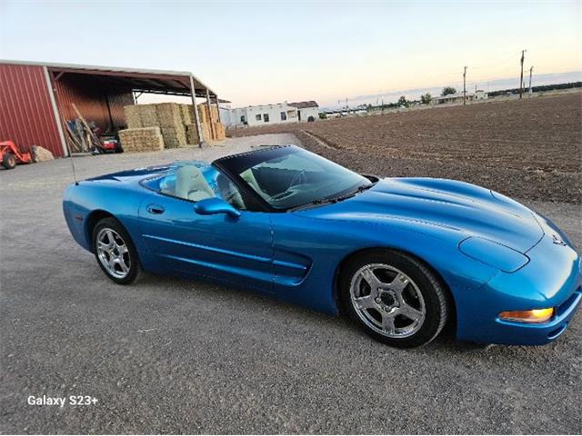 1999 Chevrolet Corvette (CC-2110163) for sale in Cadillac, Michigan