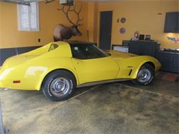1976 Chevrolet Corvette (CC-2111631) for sale in Cadillac, Michigan