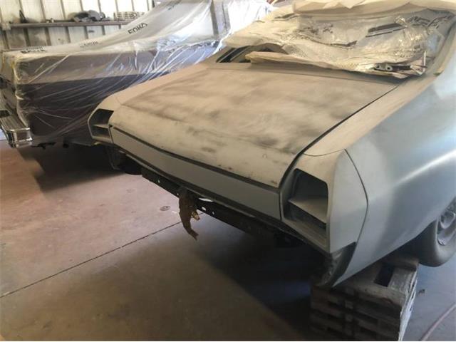 1969 Chevrolet Chevelle (CC-2111638) for sale in Cadillac, Michigan