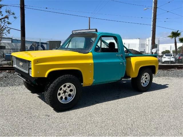1974 Chevrolet C10 (CC-2111641) for sale in Cadillac, Michigan