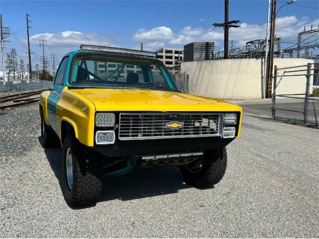 1974 Chevrolet C10 (CC-2111641) for sale in Cadillac, Michigan