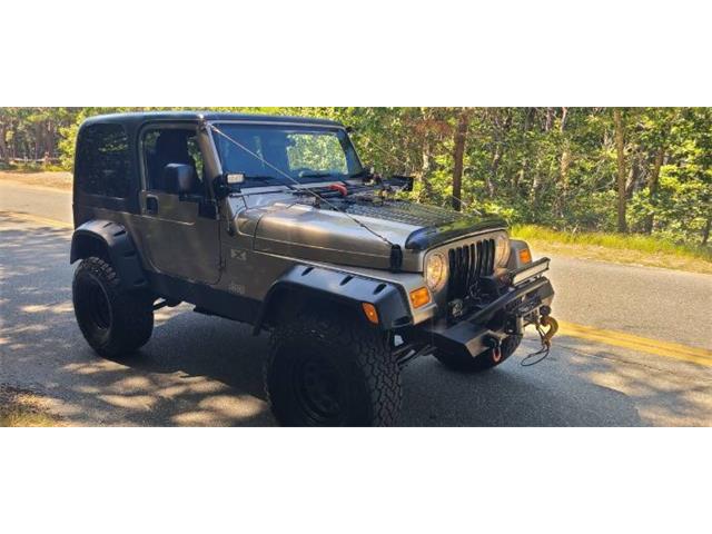 2004 Jeep Wrangler (CC-2111649) for sale in Cadillac, Michigan