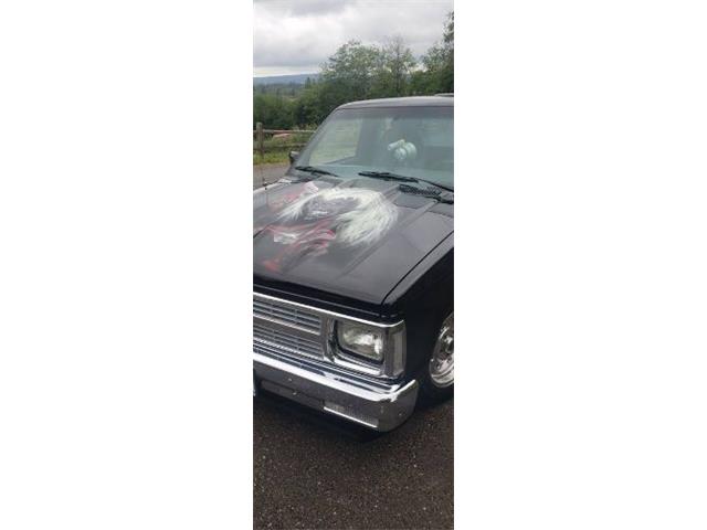 1985 Chevrolet S10 (CC-2111651) for sale in Cadillac, Michigan