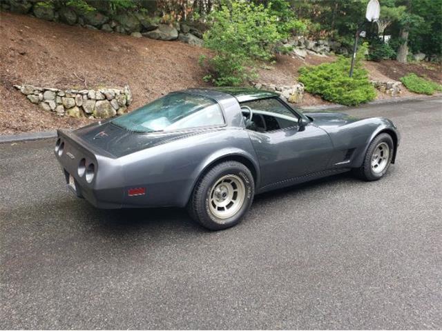 1981 Chevrolet Corvette (CC-2111657) for sale in Cadillac, Michigan