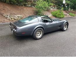 1981 Chevrolet Corvette (CC-2111657) for sale in Cadillac, Michigan