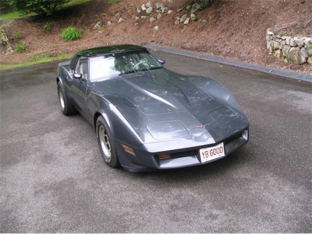 1981 Chevrolet Corvette (CC-2111657) for sale in Cadillac, Michigan