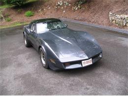 1981 Chevrolet Corvette (CC-2111657) for sale in Cadillac, Michigan