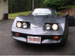 1981 Chevrolet Corvette (CC-2111657) for sale in Cadillac, Michigan