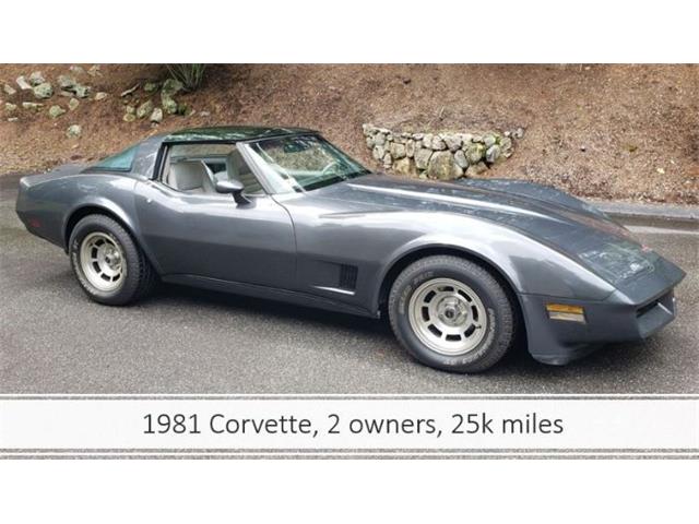 1981 Chevrolet Corvette (CC-2111657) for sale in Cadillac, Michigan