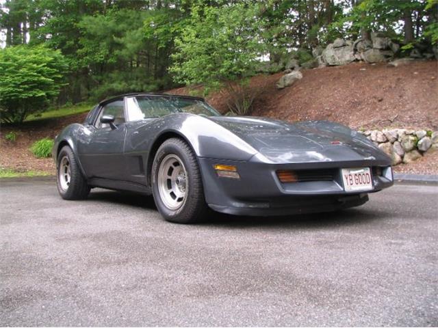 1981 Chevrolet Corvette (CC-2111657) for sale in Cadillac, Michigan
