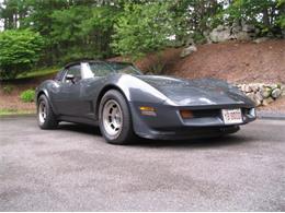 1981 Chevrolet Corvette (CC-2111657) for sale in Cadillac, Michigan