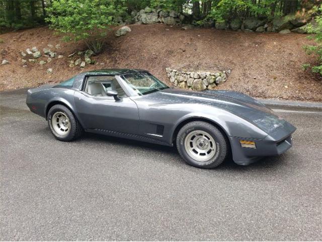 1981 Chevrolet Corvette (CC-2111657) for sale in Cadillac, Michigan