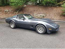 1981 Chevrolet Corvette (CC-2111657) for sale in Cadillac, Michigan