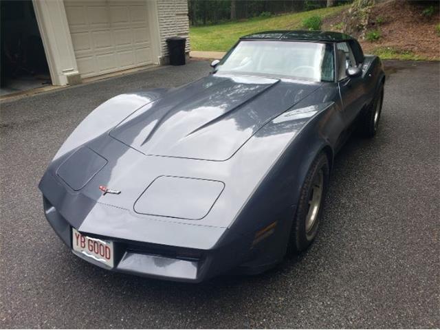 1981 Chevrolet Corvette (CC-2111657) for sale in Cadillac, Michigan