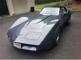 1981 Chevrolet Corvette (CC-2111657) for sale in Cadillac, Michigan