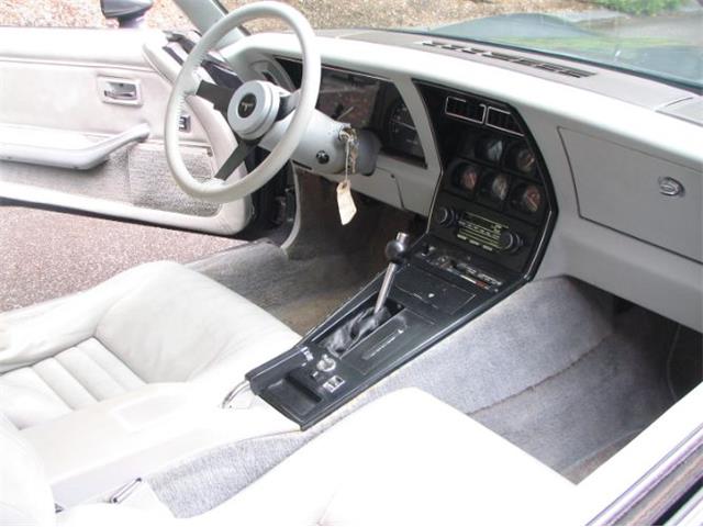 1981 Chevrolet Corvette (CC-2111657) for sale in Cadillac, Michigan