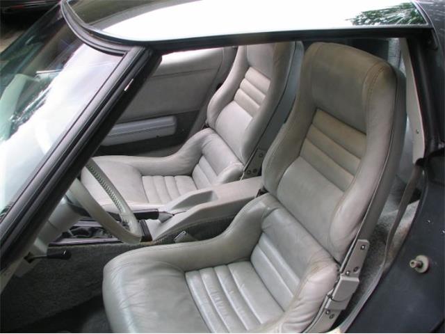 1981 Chevrolet Corvette (CC-2111657) for sale in Cadillac, Michigan