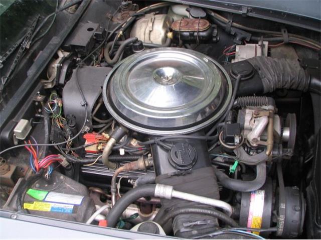 1981 Chevrolet Corvette (CC-2111657) for sale in Cadillac, Michigan