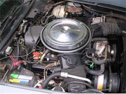 1981 Chevrolet Corvette (CC-2111657) for sale in Cadillac, Michigan
