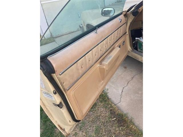 1977 Chevrolet El Camino (CC-2111658) for sale in Cadillac, Michigan