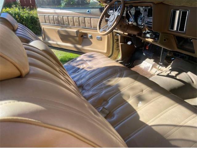 1977 Chevrolet El Camino (CC-2111658) for sale in Cadillac, Michigan
