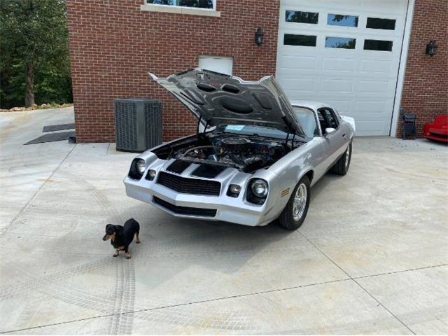 1982 Chevrolet Camaro (CC-2111663) for sale in Cadillac, Michigan