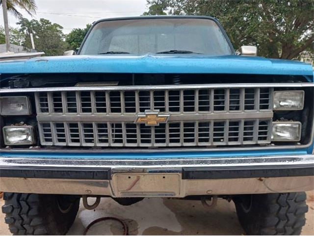 1985 Chevrolet Silverado (CC-2111674) for sale in Cadillac, Michigan
