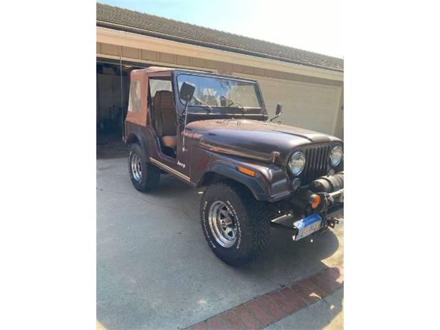 1980 Jeep CJ5 (CC-2111676) for sale in Cadillac, Michigan