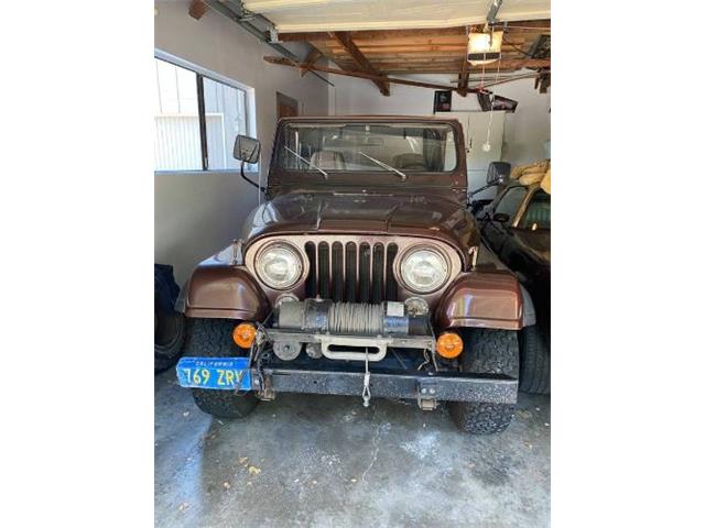 1980 Jeep CJ5 (CC-2111676) for sale in Cadillac, Michigan