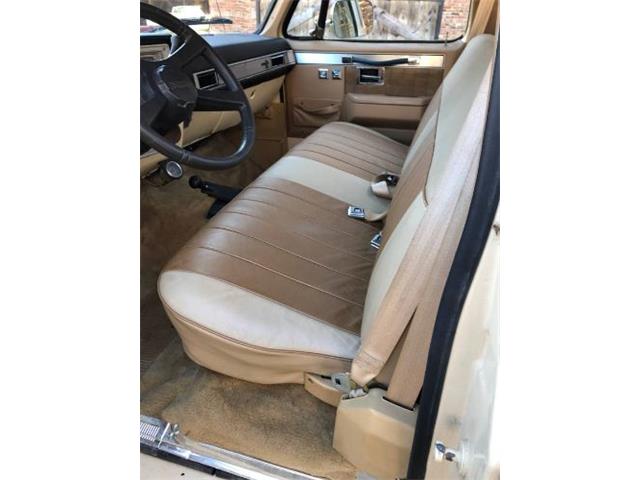 1986 Chevrolet K-10 (CC-2111679) for sale in Cadillac, Michigan