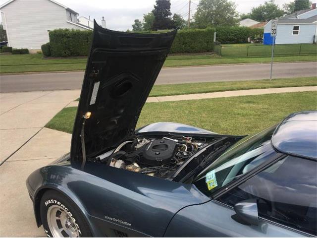 1982 Chevrolet Corvette (CC-2111685) for sale in Cadillac, Michigan
