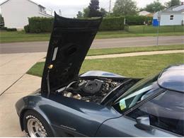 1982 Chevrolet Corvette (CC-2111685) for sale in Cadillac, Michigan