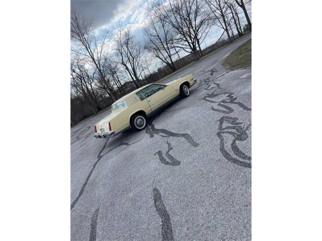 1982 Cadillac Eldorado (CC-2111702) for sale in Cadillac, Michigan