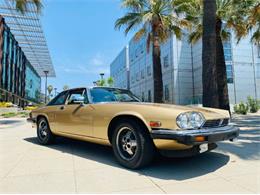 1988 Jaguar XJS (CC-2111716) for sale in Cadillac, Michigan
