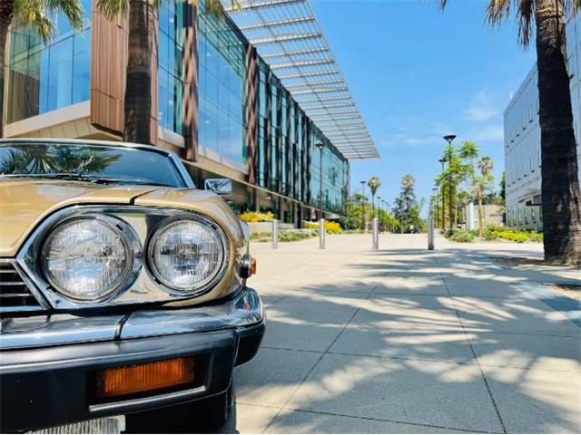 1988 Jaguar XJS (CC-2111716) for sale in Cadillac, Michigan