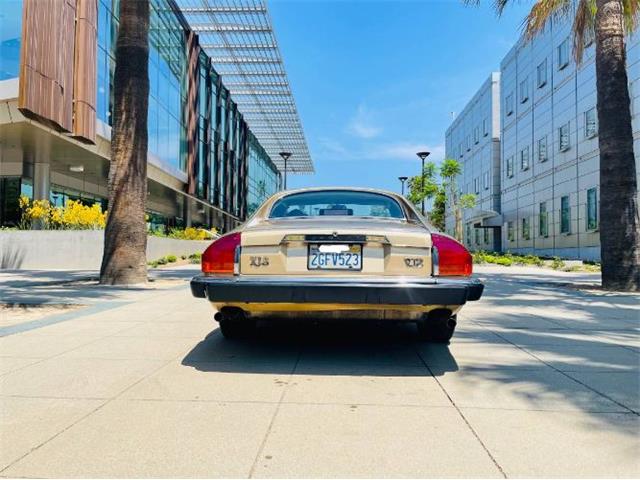 1988 Jaguar XJS (CC-2111716) for sale in Cadillac, Michigan