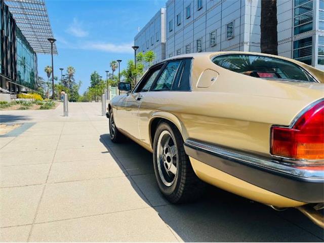 1988 Jaguar XJS (CC-2111716) for sale in Cadillac, Michigan