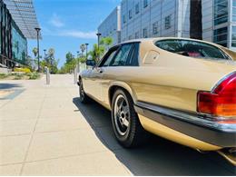 1988 Jaguar XJS (CC-2111716) for sale in Cadillac, Michigan
