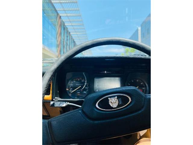 1988 Jaguar XJS (CC-2111716) for sale in Cadillac, Michigan