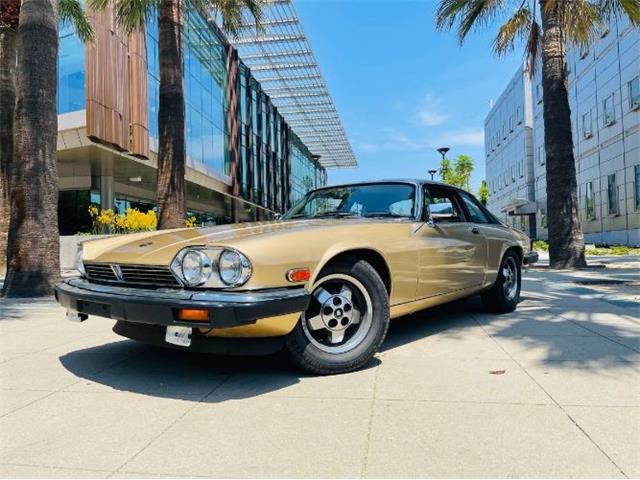 1988 Jaguar XJS (CC-2111716) for sale in Cadillac, Michigan