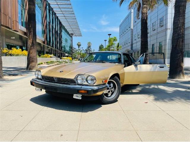 1988 Jaguar XJS (CC-2111716) for sale in Cadillac, Michigan
