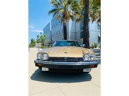 1988 Jaguar XJS (CC-2111716) for sale in Cadillac, Michigan