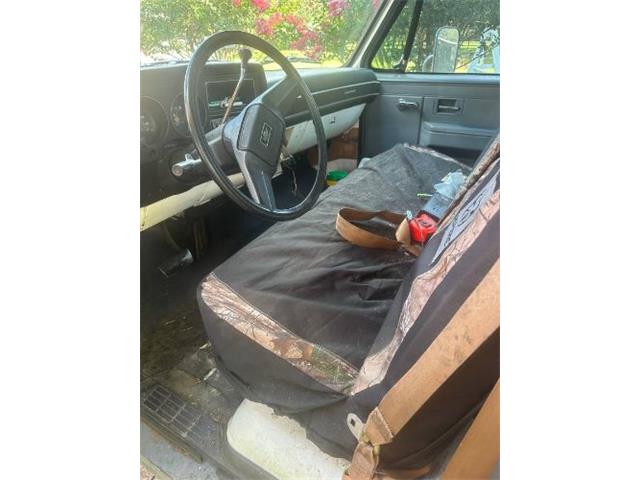 1989 Chevrolet Truck (CC-2111718) for sale in Cadillac, Michigan